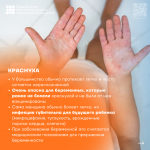 Краснуха (1)